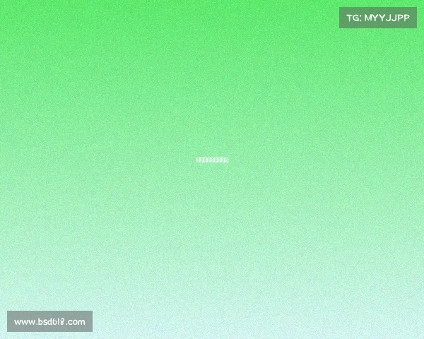 世界级毽球比赛视频